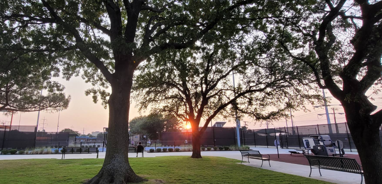 Tree-lined courts at High Point Tennis Center in Plano, Texas.